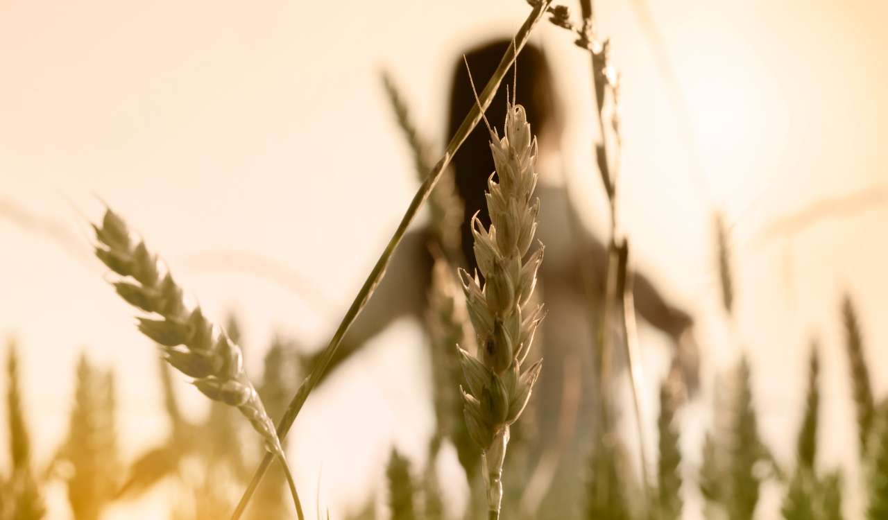 Natürlichkeit und Nachhaltigkeit der von uns verwendeten Materialien